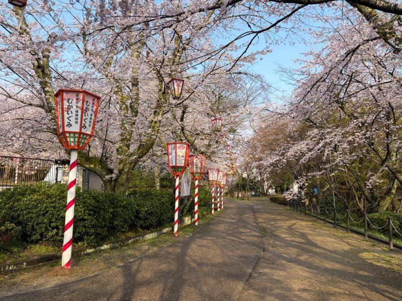 公園内の様子